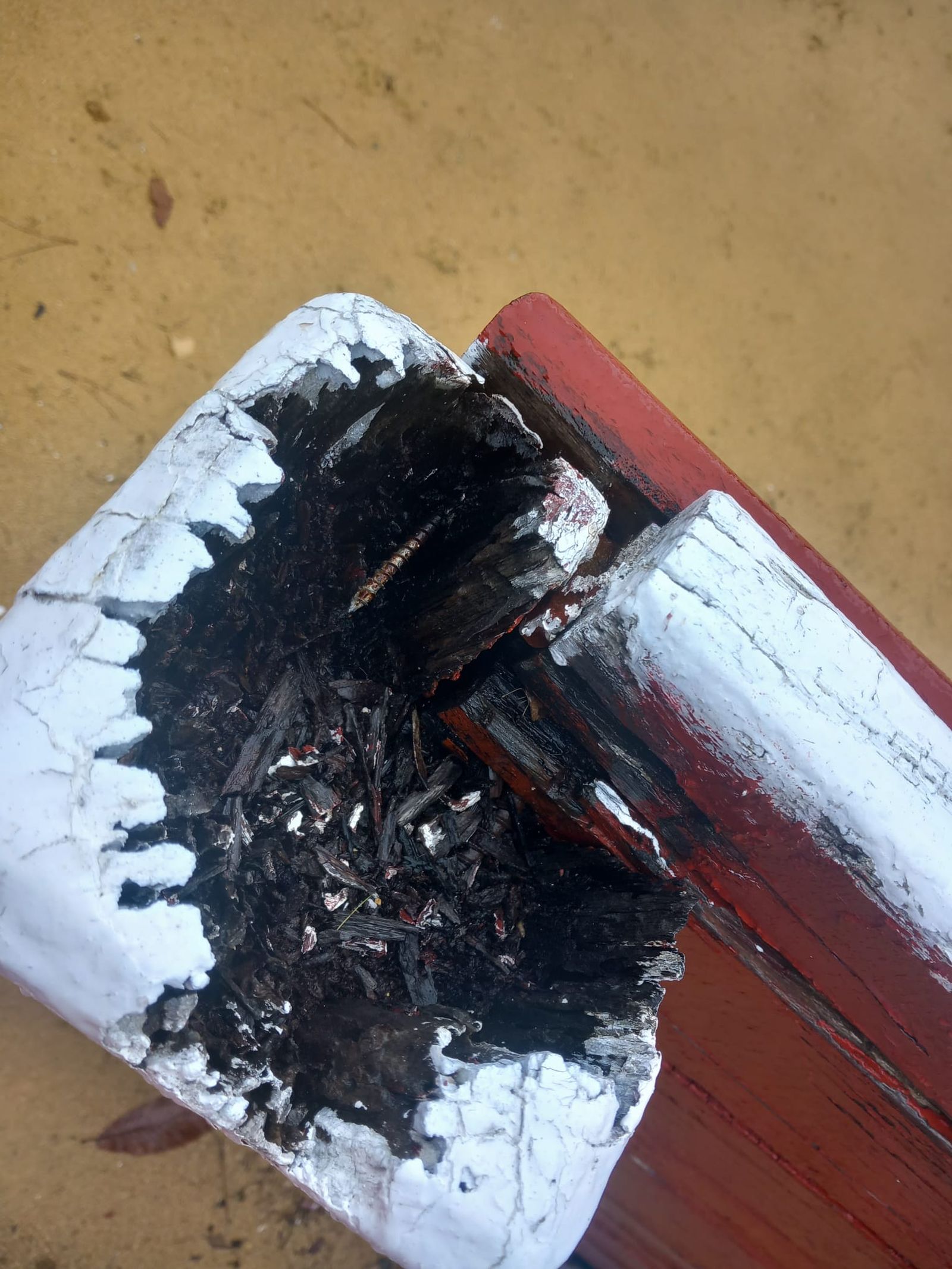 Plaza de Toros La Ancianita de Béjar  (10).jpeg