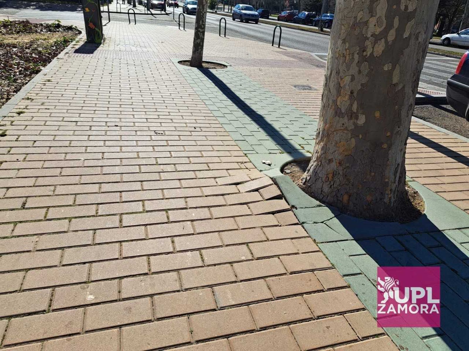 Adoquines de Cardenal Cisneros 2