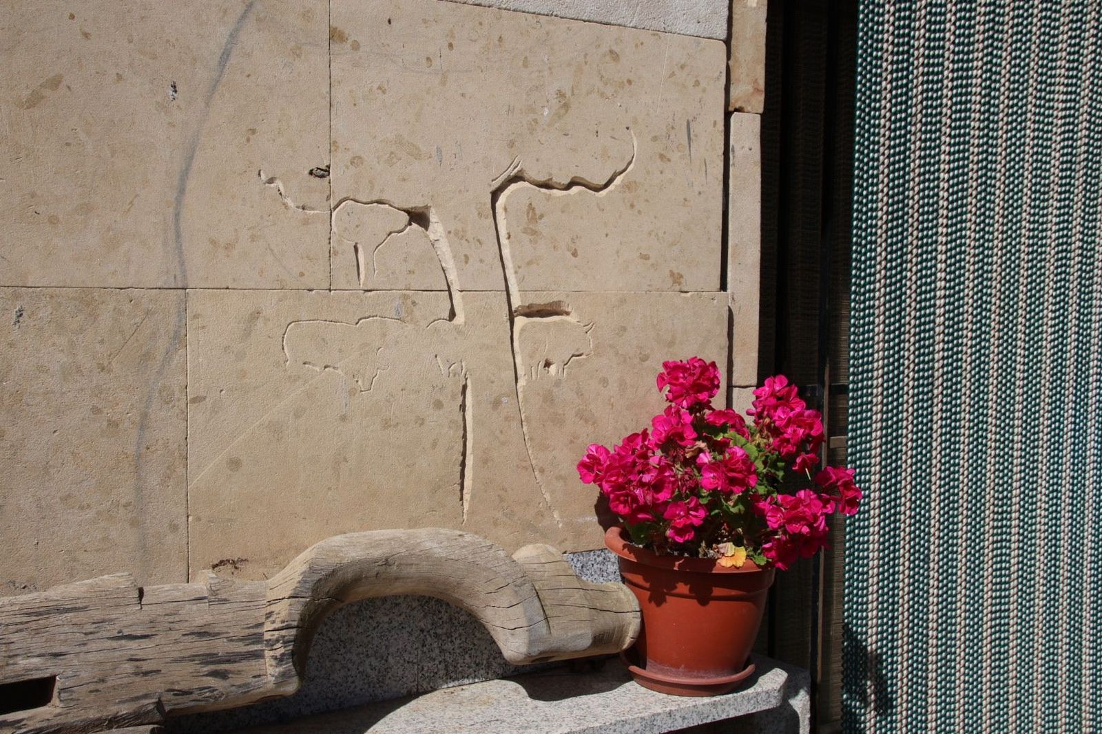 20230614095151-img-2704