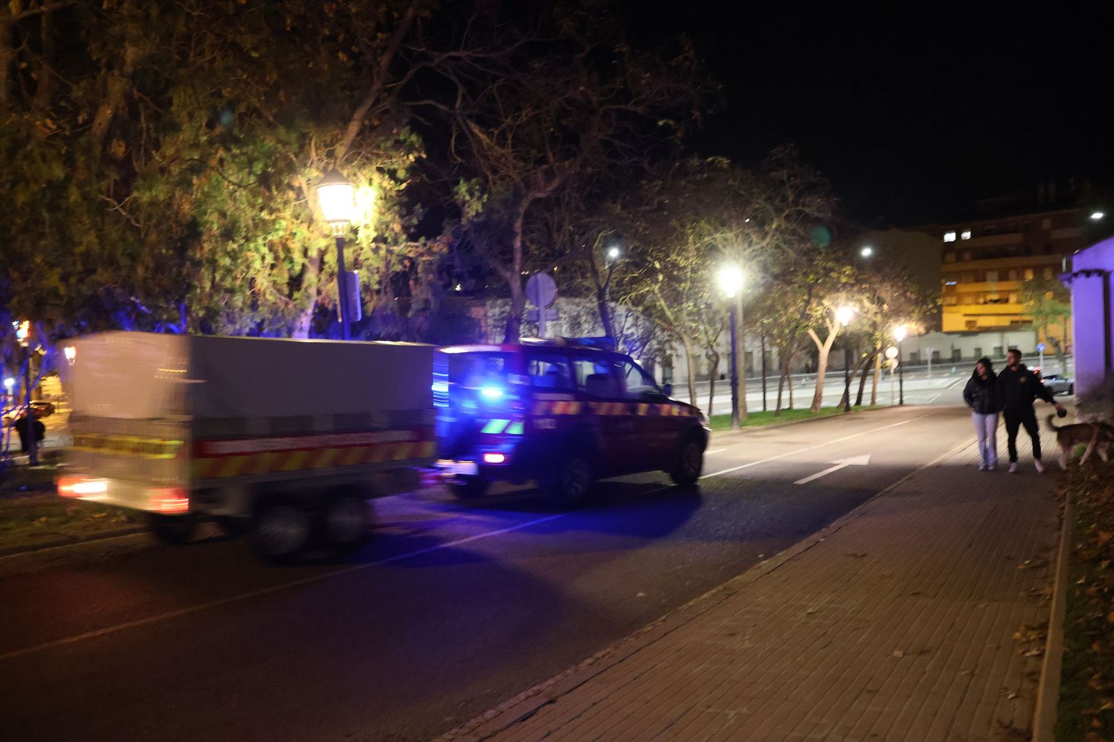 Rescate del ciervo en el Parking de San Martín (27).JPG