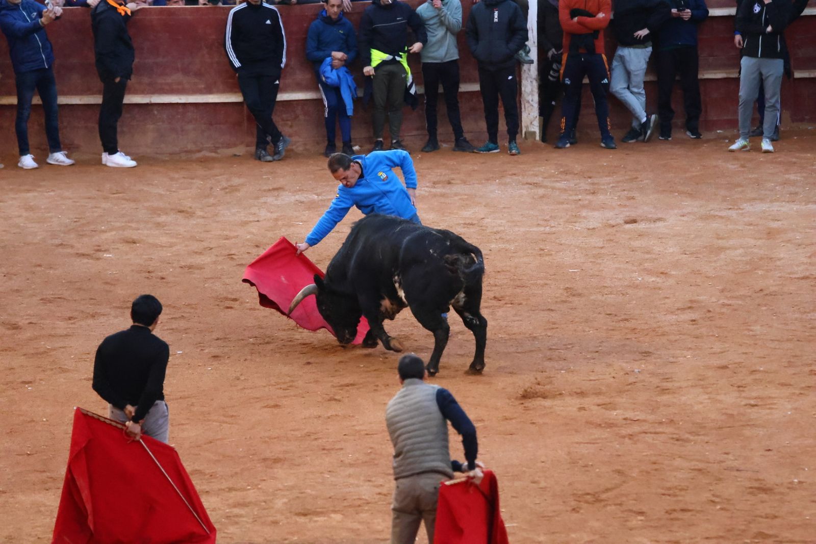 Capea de martes por la tarde en el Carnaval del Toro 2026