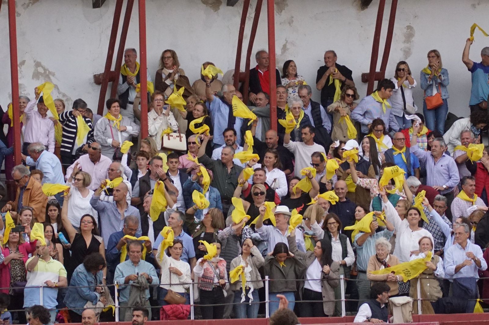 whatsapp-image-2024-10-05-at-19-56-27-1