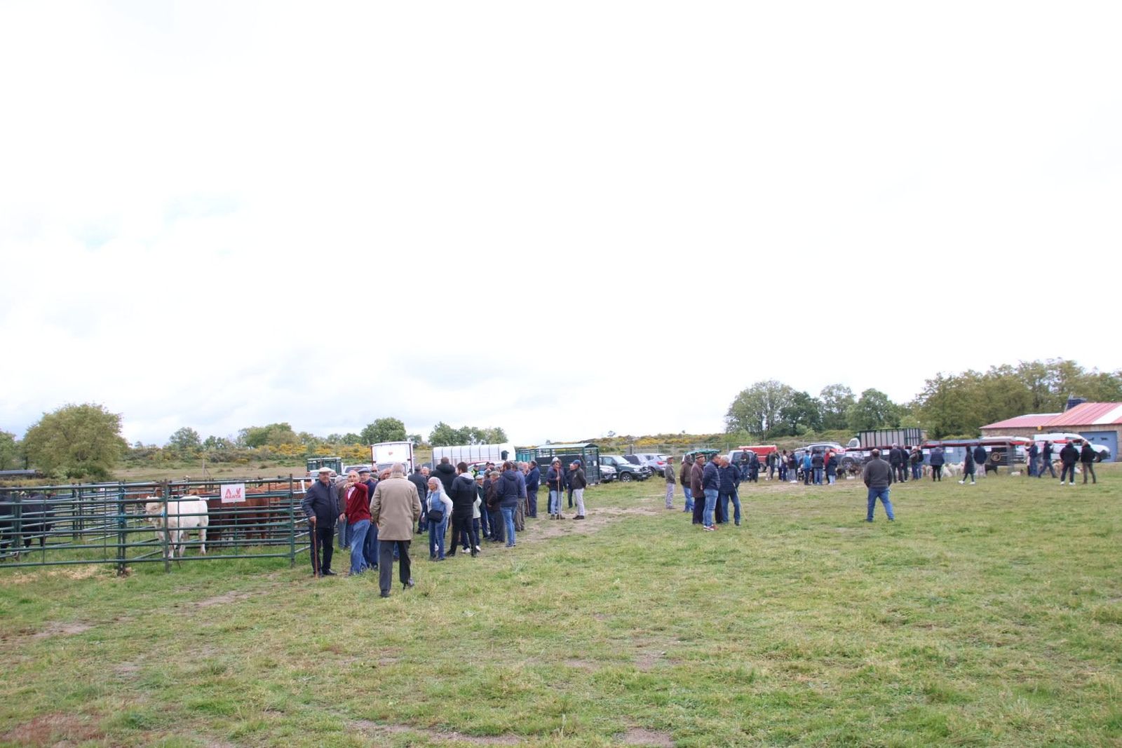 20240501104850-img-2987