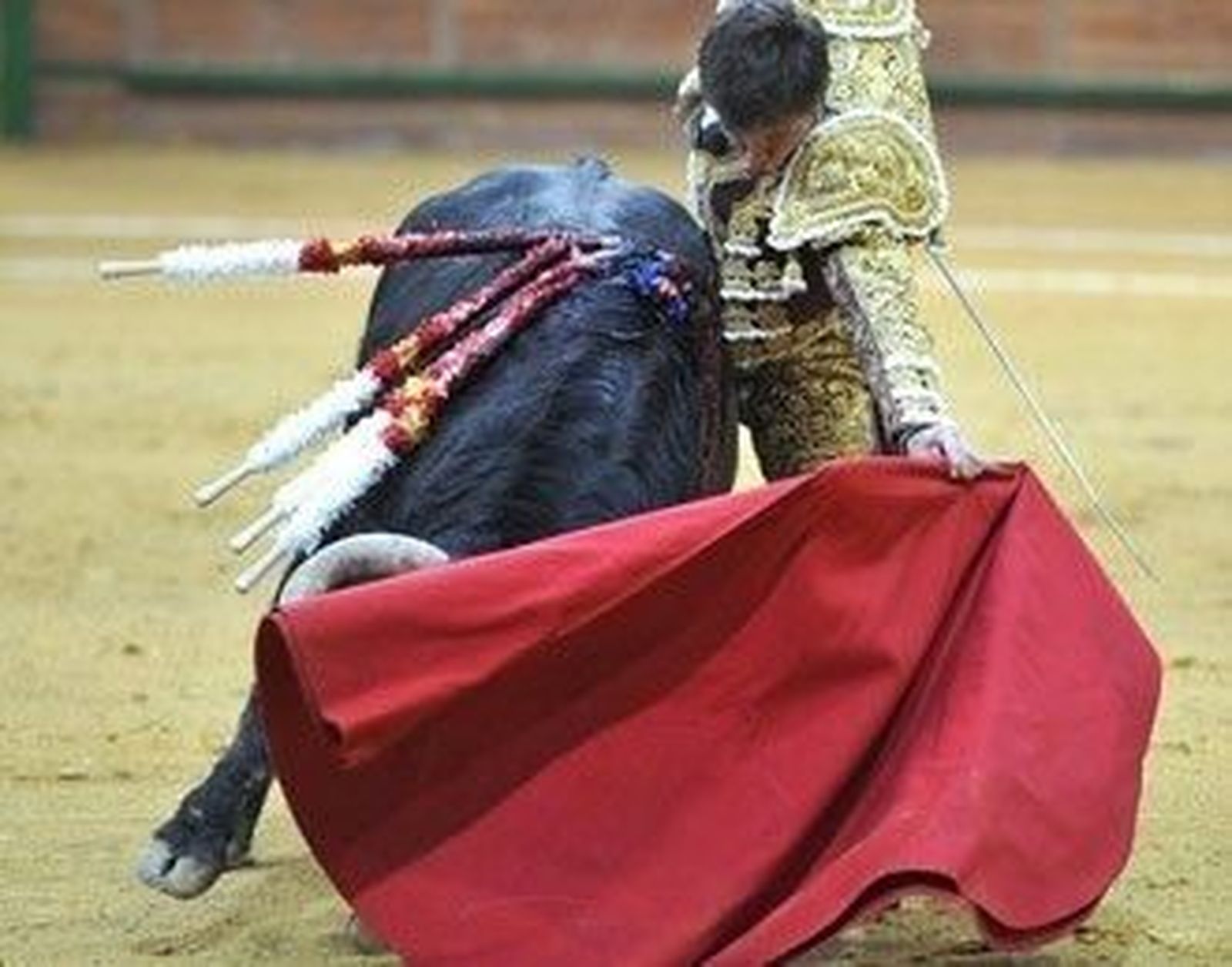 Cuatro orejas cosecha El Juli