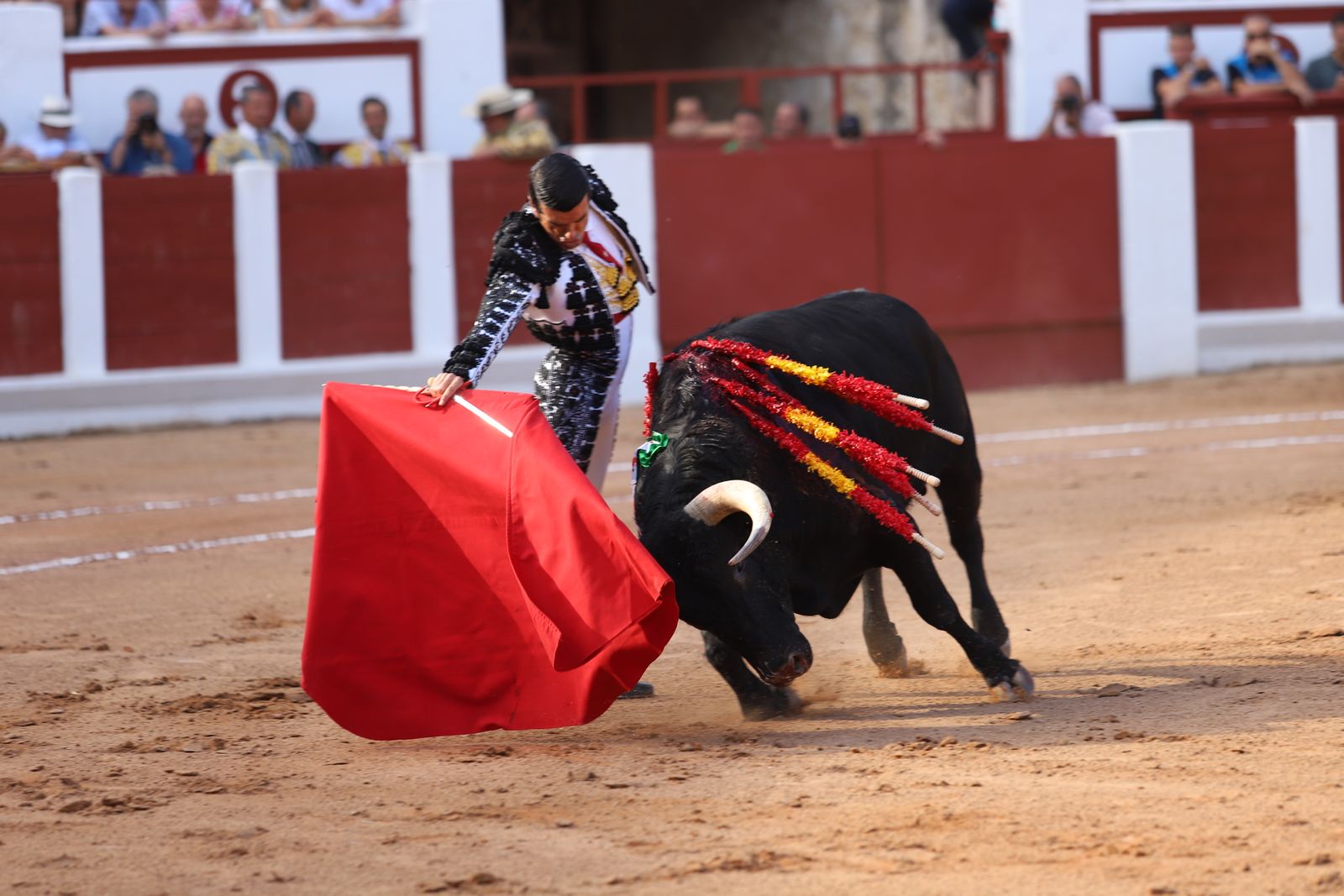 Corrida Feria Taurina San Pedro 2025. FOTO María Lorenzo (9).jpeg