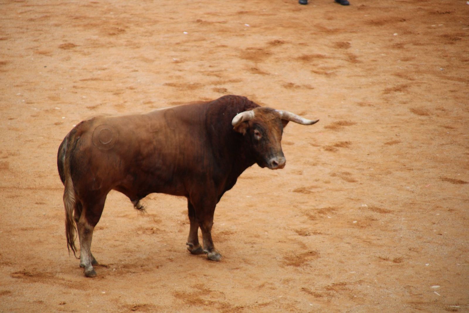 whatsapp-image-2025-03-01-at-13-18-37