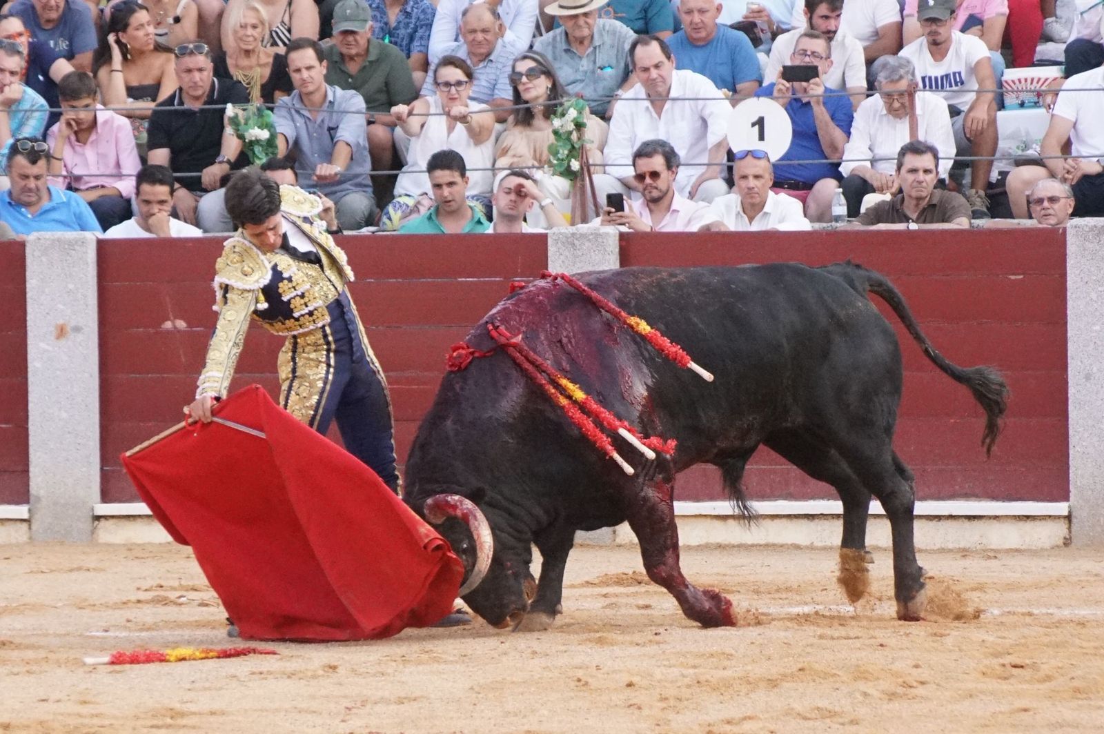 En imágenes la despedida de los ruedos de El Capea en Guijuelo