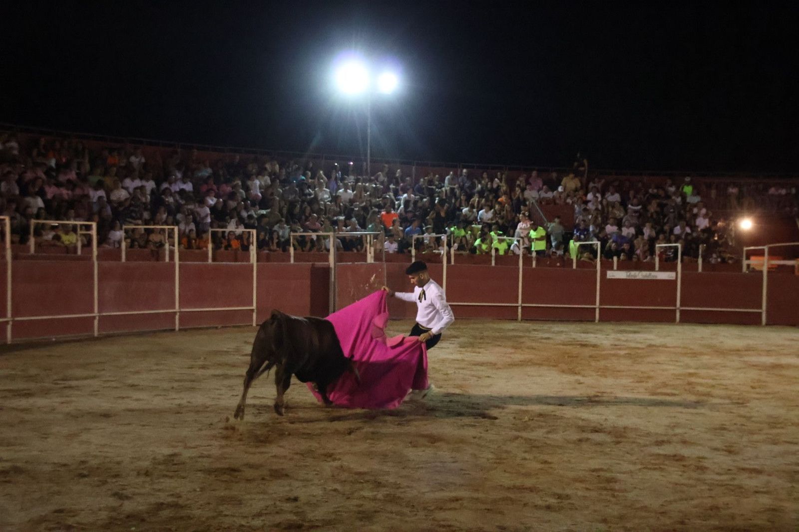 20230814215630-img-2221