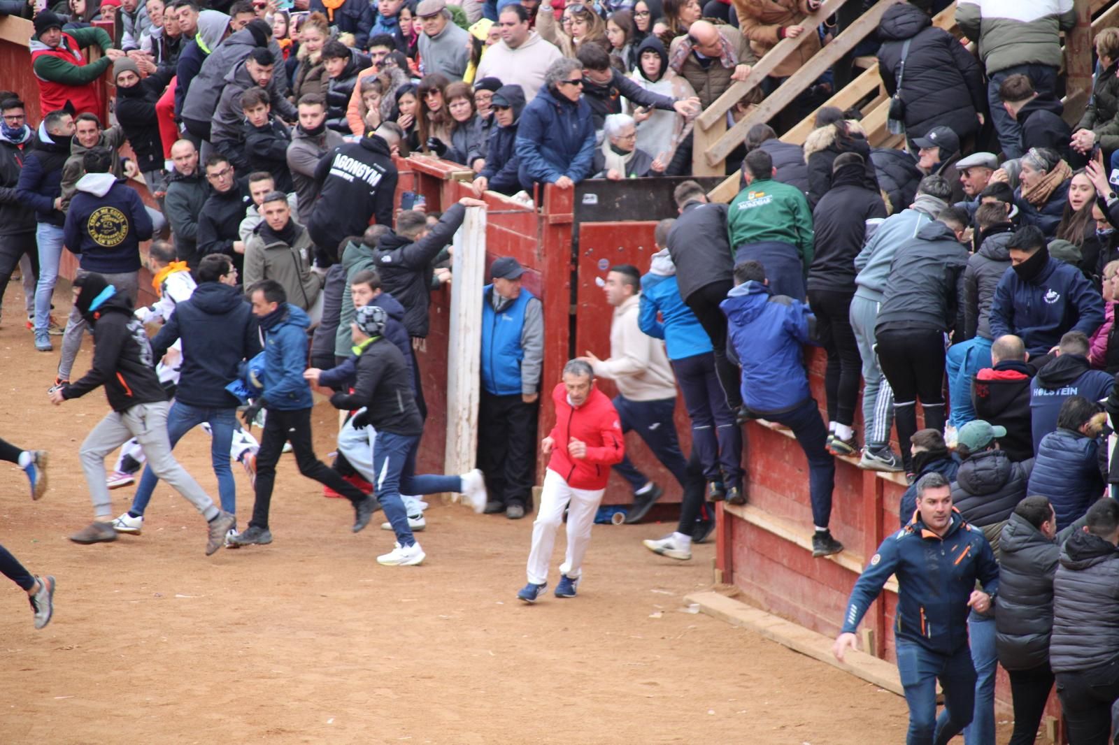 Encierro a Caballo en el Carnaval del Toro 2026 de Ciudad Rodrigo