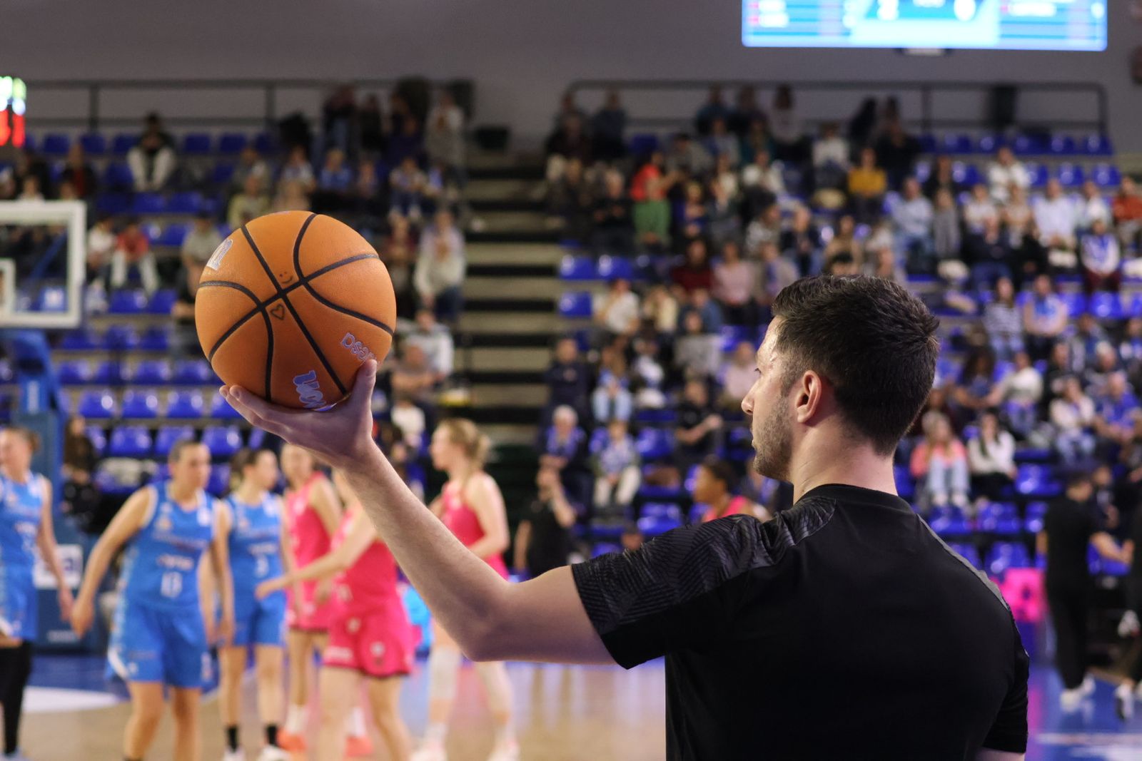 Perfumerías Avenida - Araski