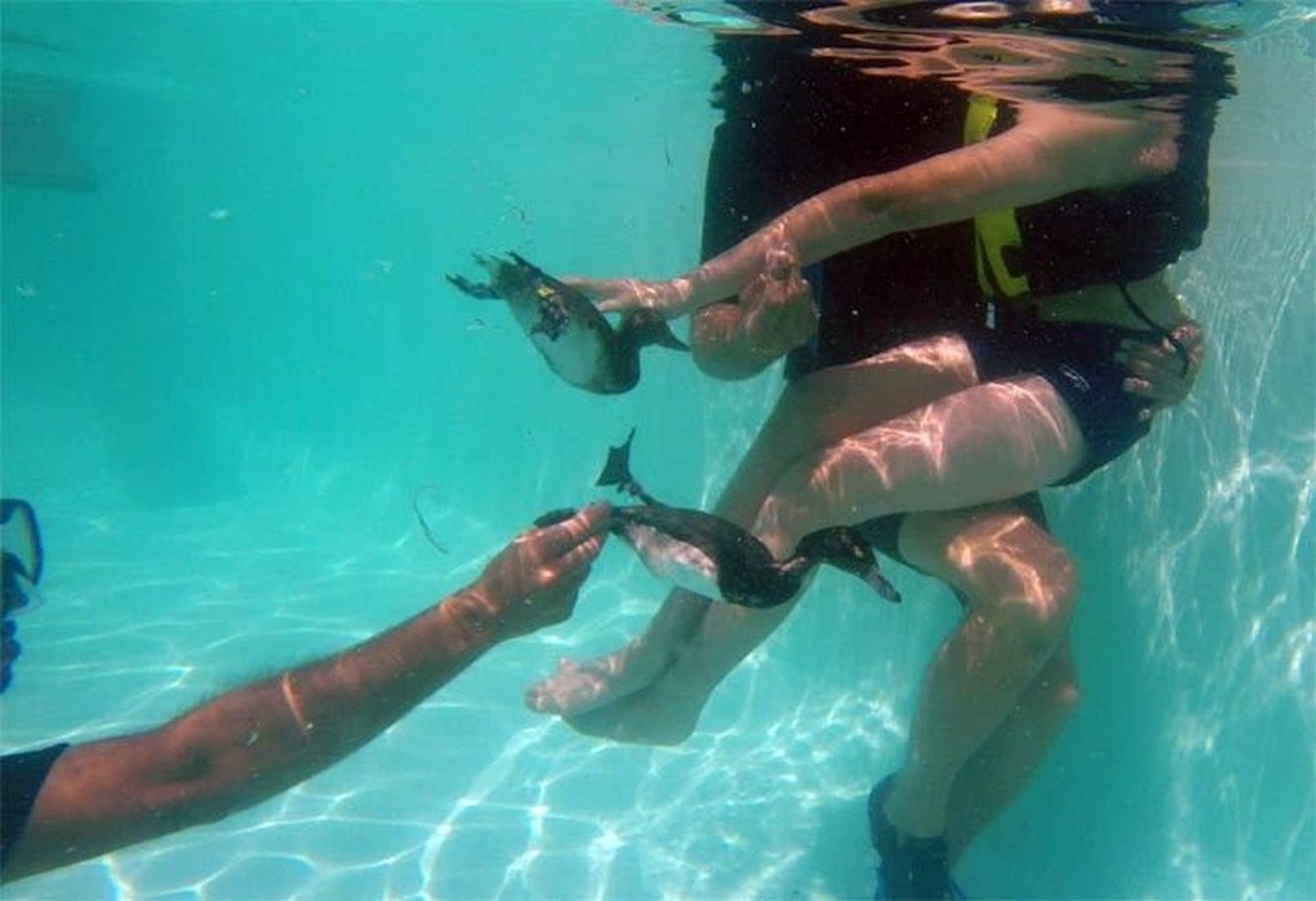 Europarques desarrolla un programa terapéutico para niños con autismo y síndrome de Down