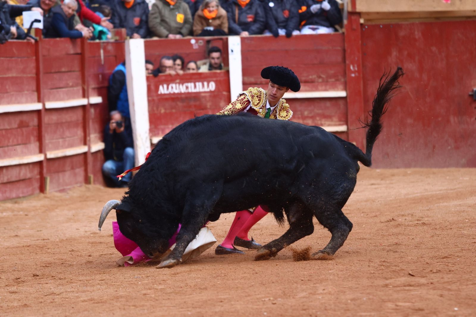Novillada con picadores de lunes en el Carnaval del Toro de Ciudad Rodrigo 2026