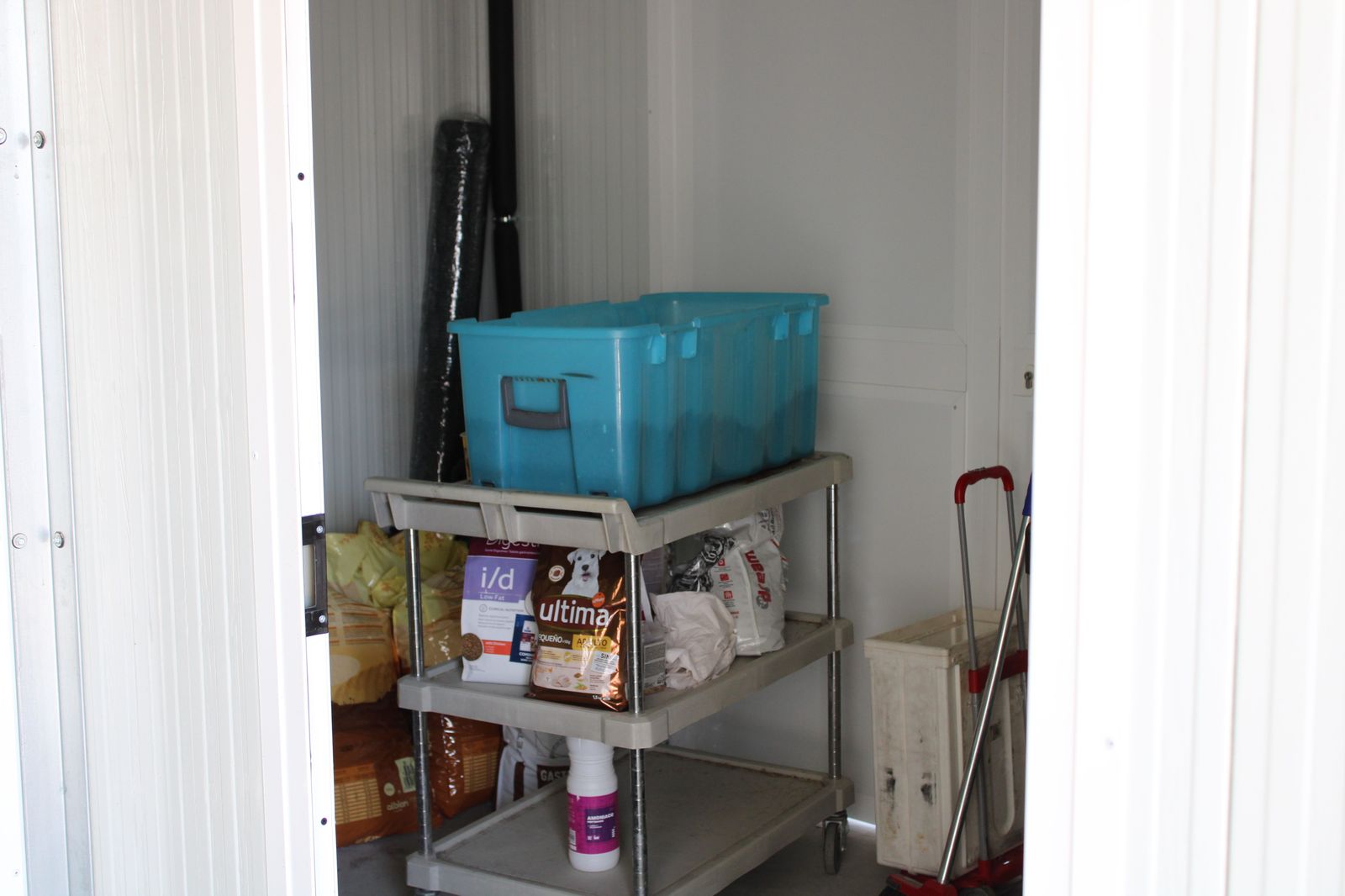 refugio-de-animales-del-ayuntamiento-de-salamanca-46