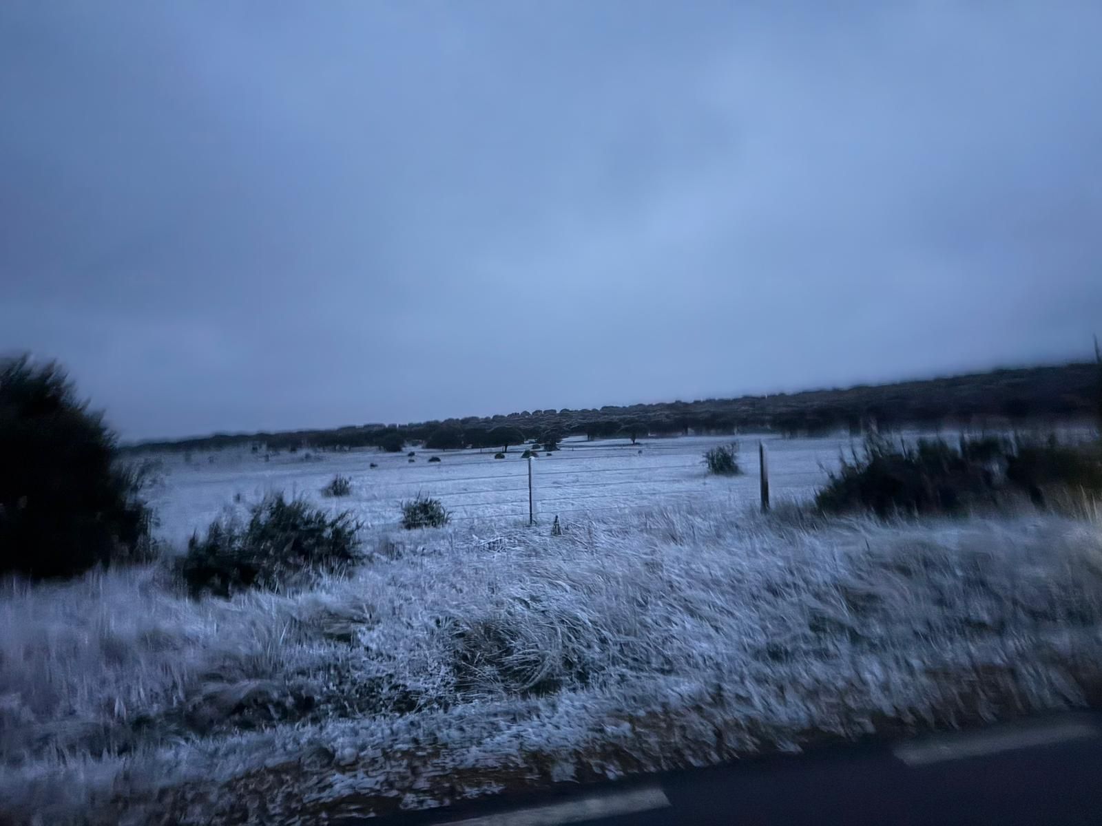 Caen los primeros copos de nieve
