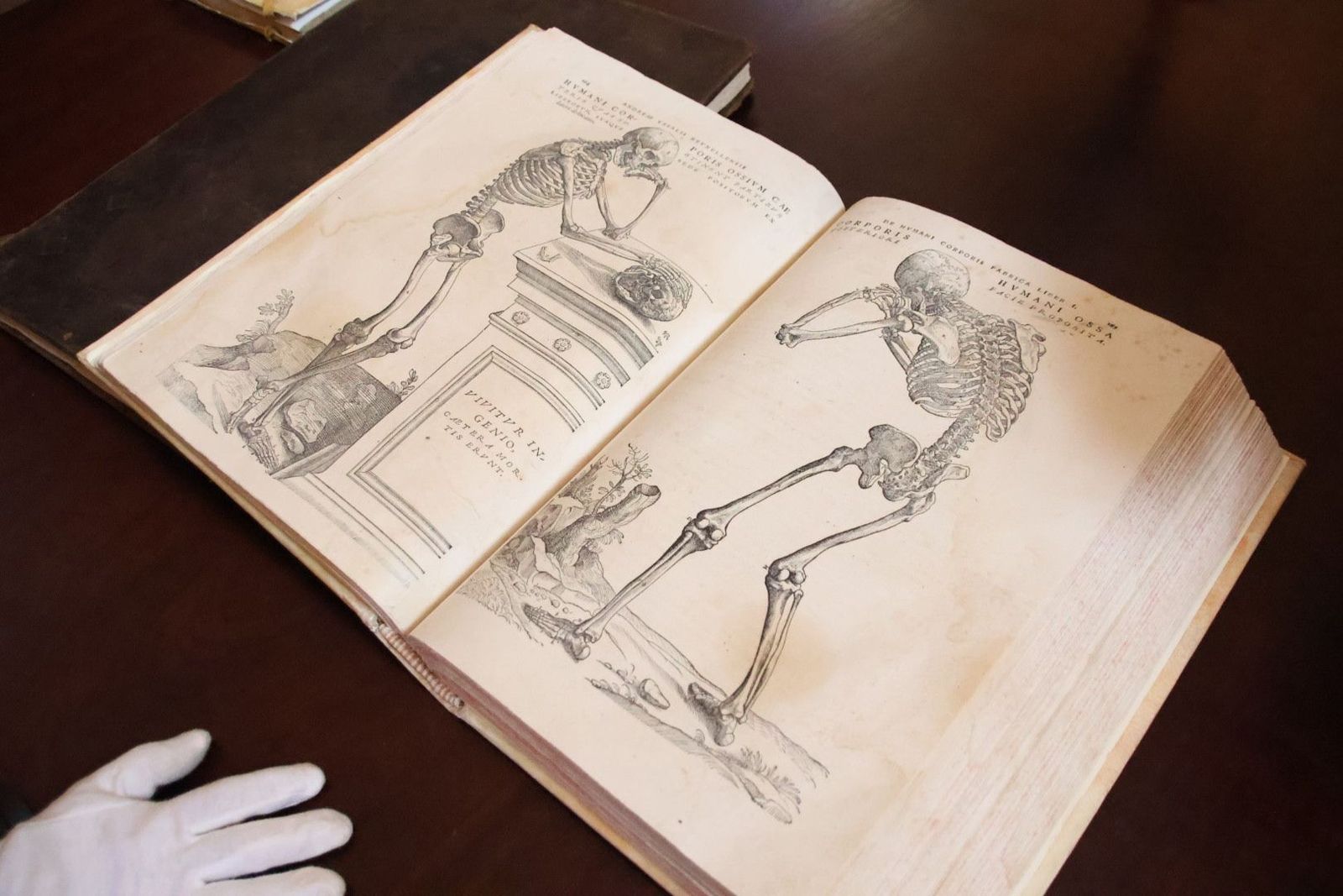 20231005113809-img-1357