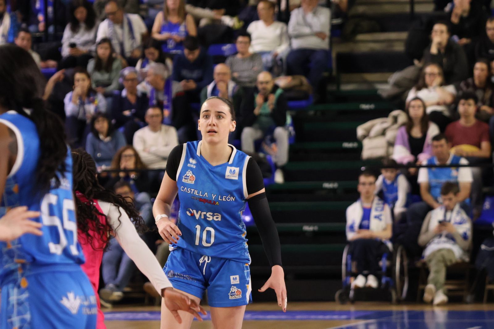 Perfumerías Avenida - Araski