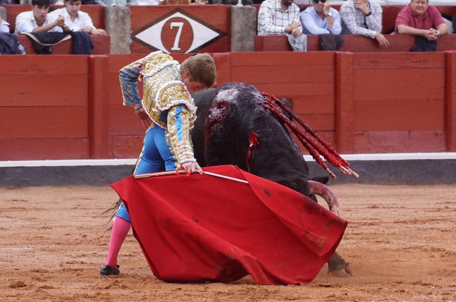corrida-concurso-momentos-mas-destacados-del-ultimo-festejo-de-abono-de-la-feria-taurina-virgen-de-la-vega-2024-fotos-carlos-h-g-y-juanes-8