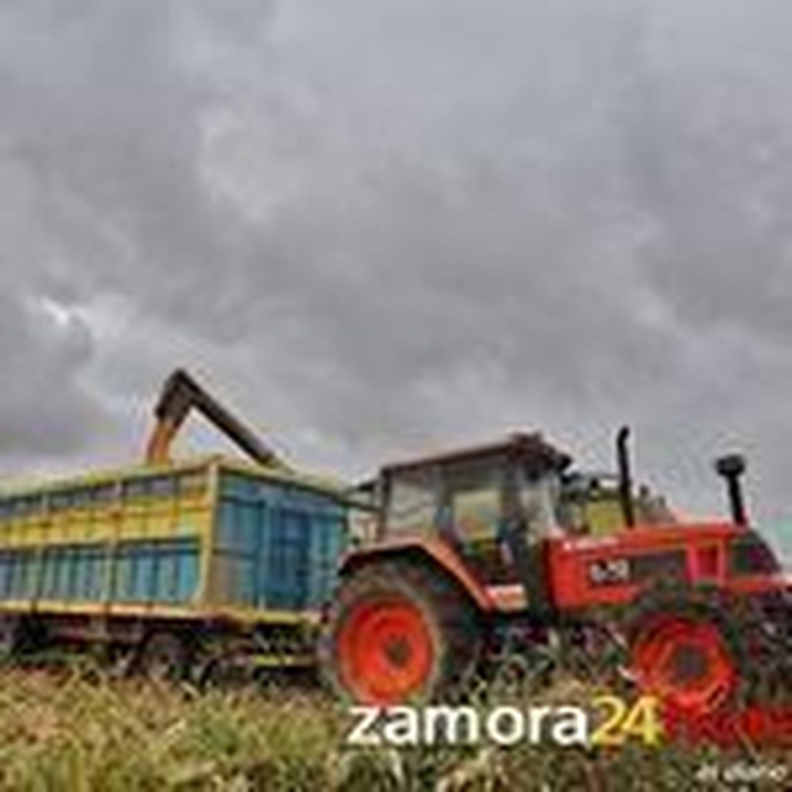 La Junta comienza a pagar este viernes los primeros expedientes de la PAC