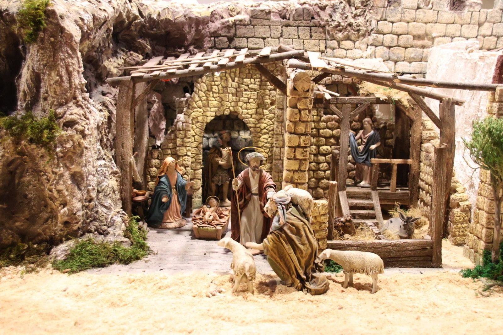 20231201133246-img-4994