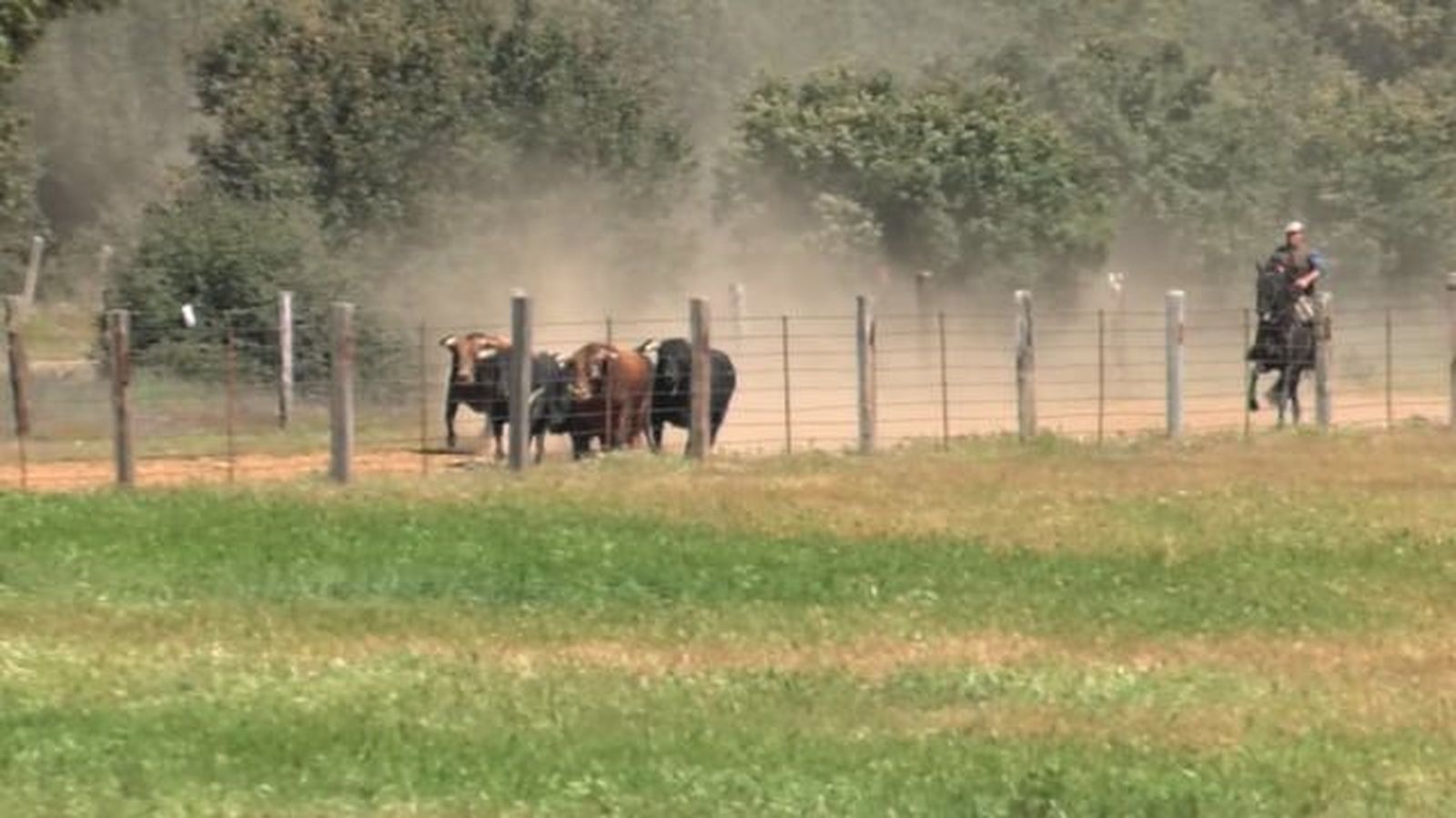 Ganadería Montalvo