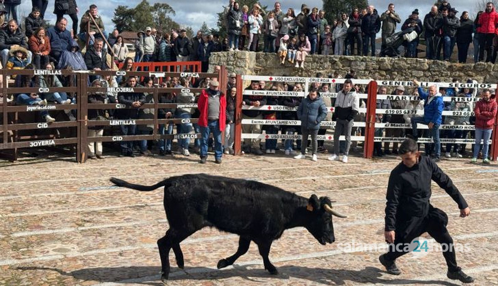 Suelta de vaquillas por el domingo de piñata en Ciudad Rodrigo, 9 de marzo de 2025 (7)
