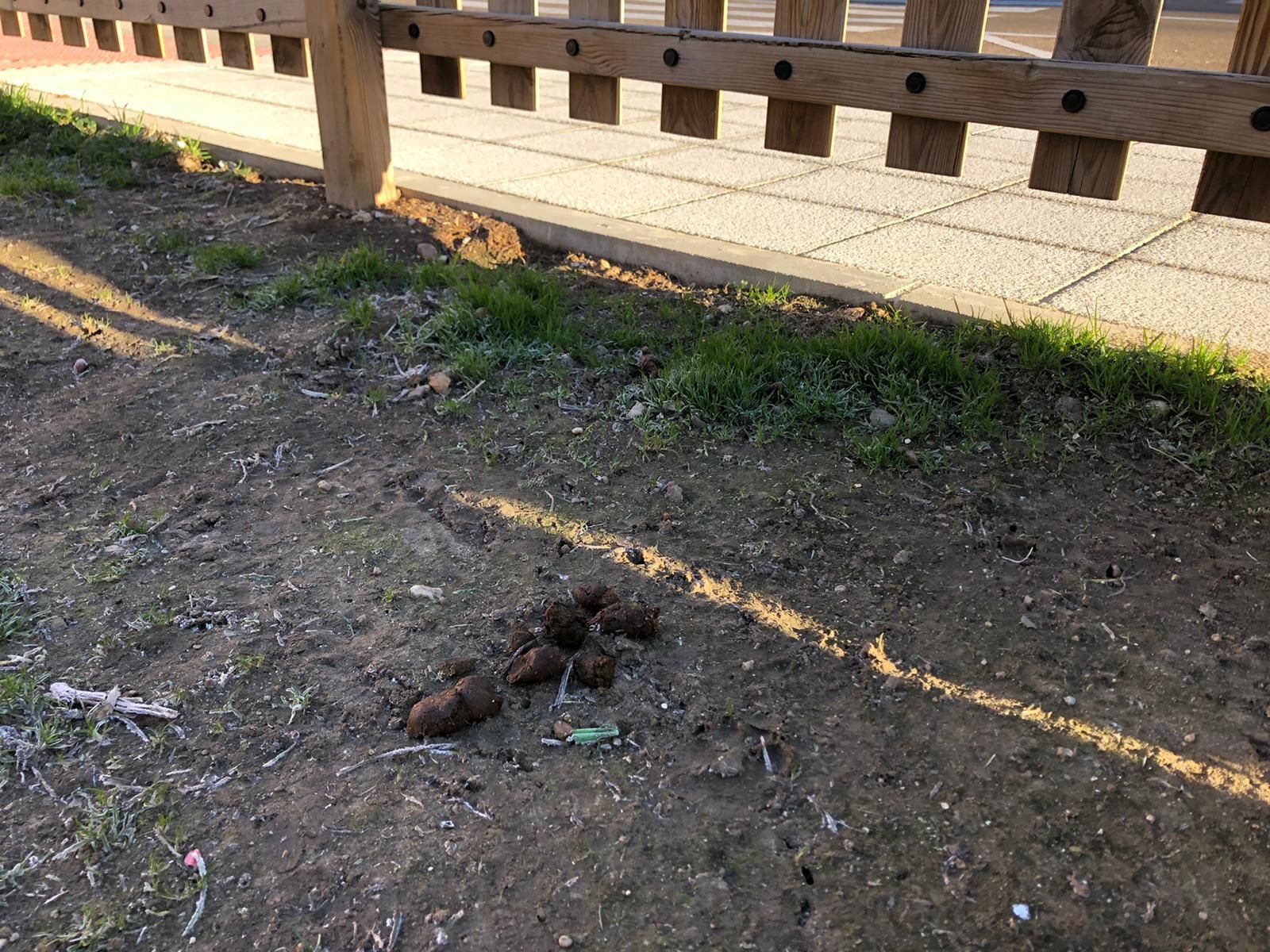 estado-del-pipican-3