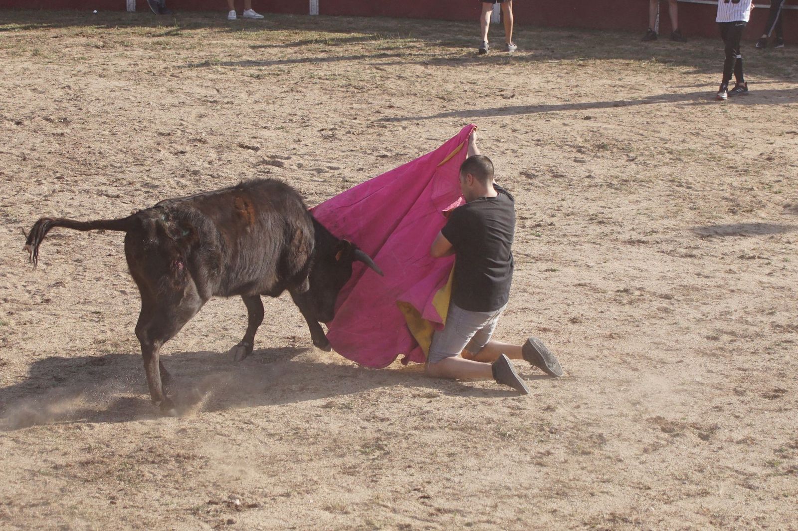 capea-fiestas-de-carrascal-de-barregas-19