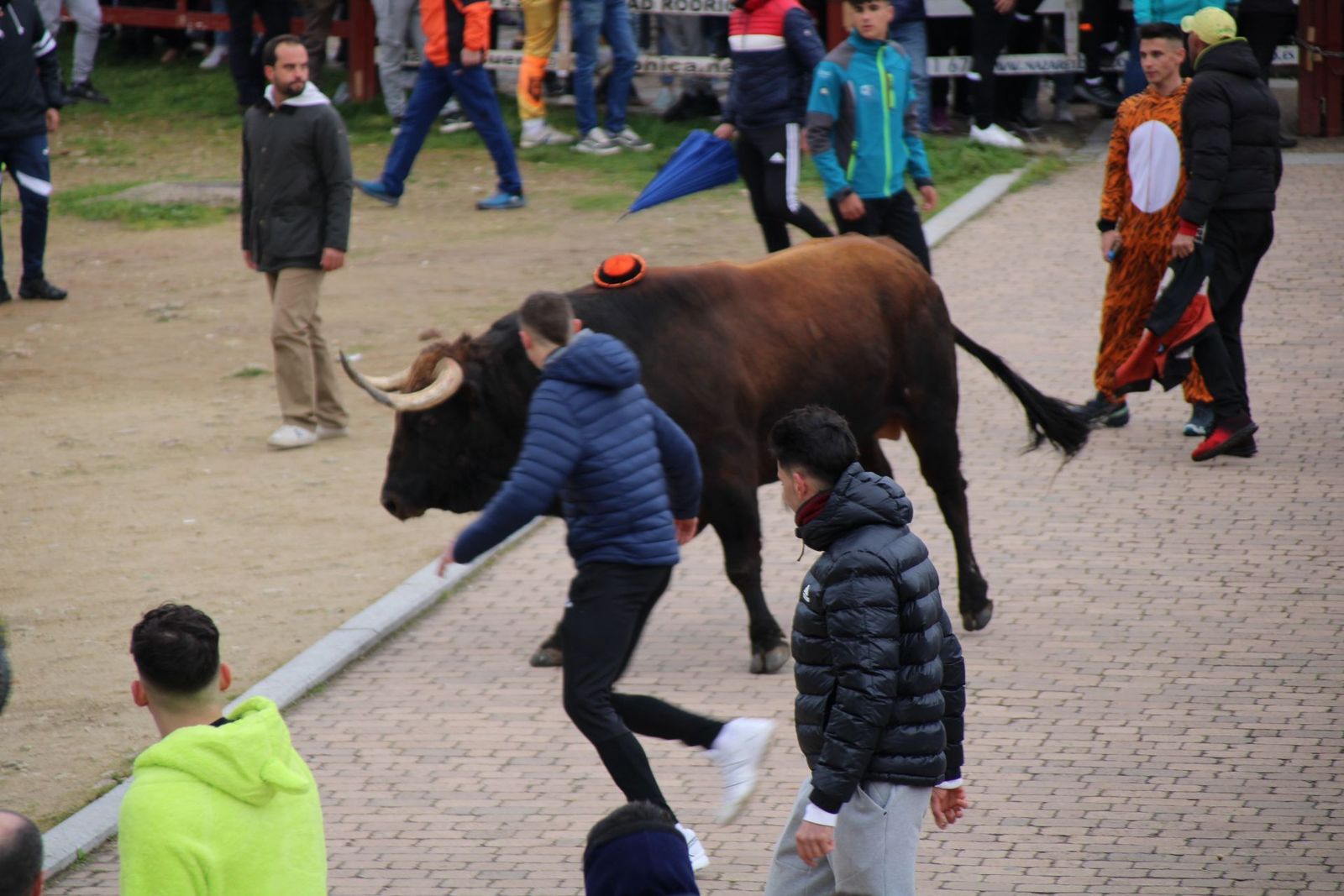 whatsapp-image-2025-03-01-at-11-56-36