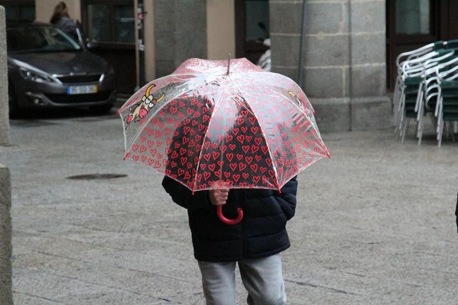 Tiempo zamora lluvia paraguas