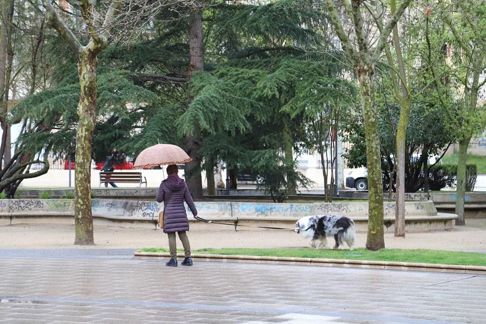 Una mujer pasea a su perro en la Plaza de la Marina de Zamora