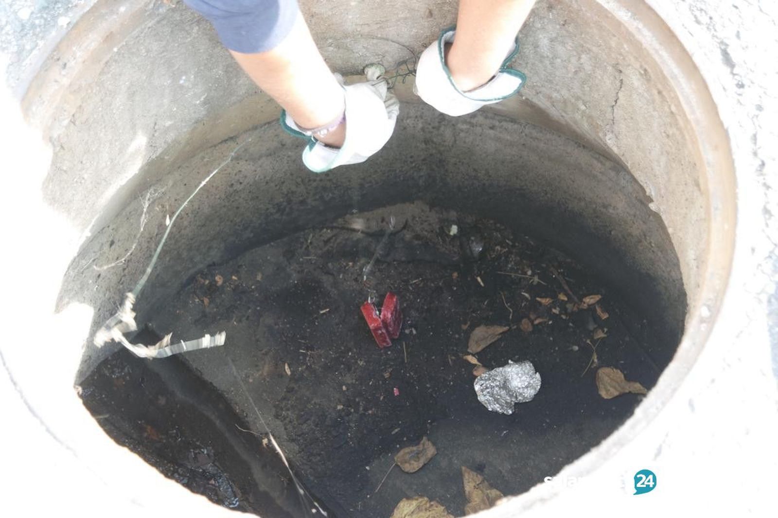 Control de plagas (17) 1200x800