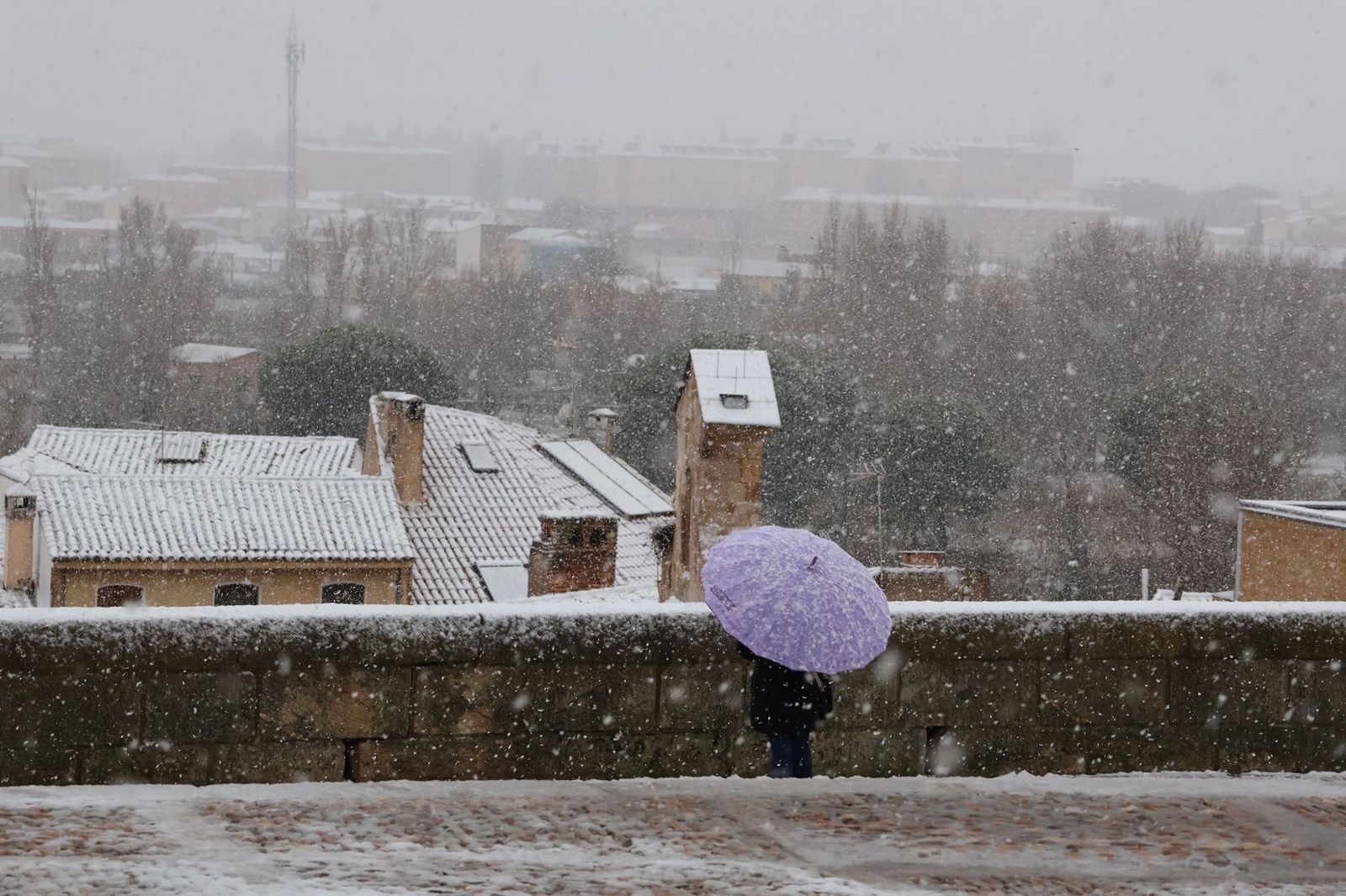 GALERÍA | Nieve en Zamora capital este miércoles