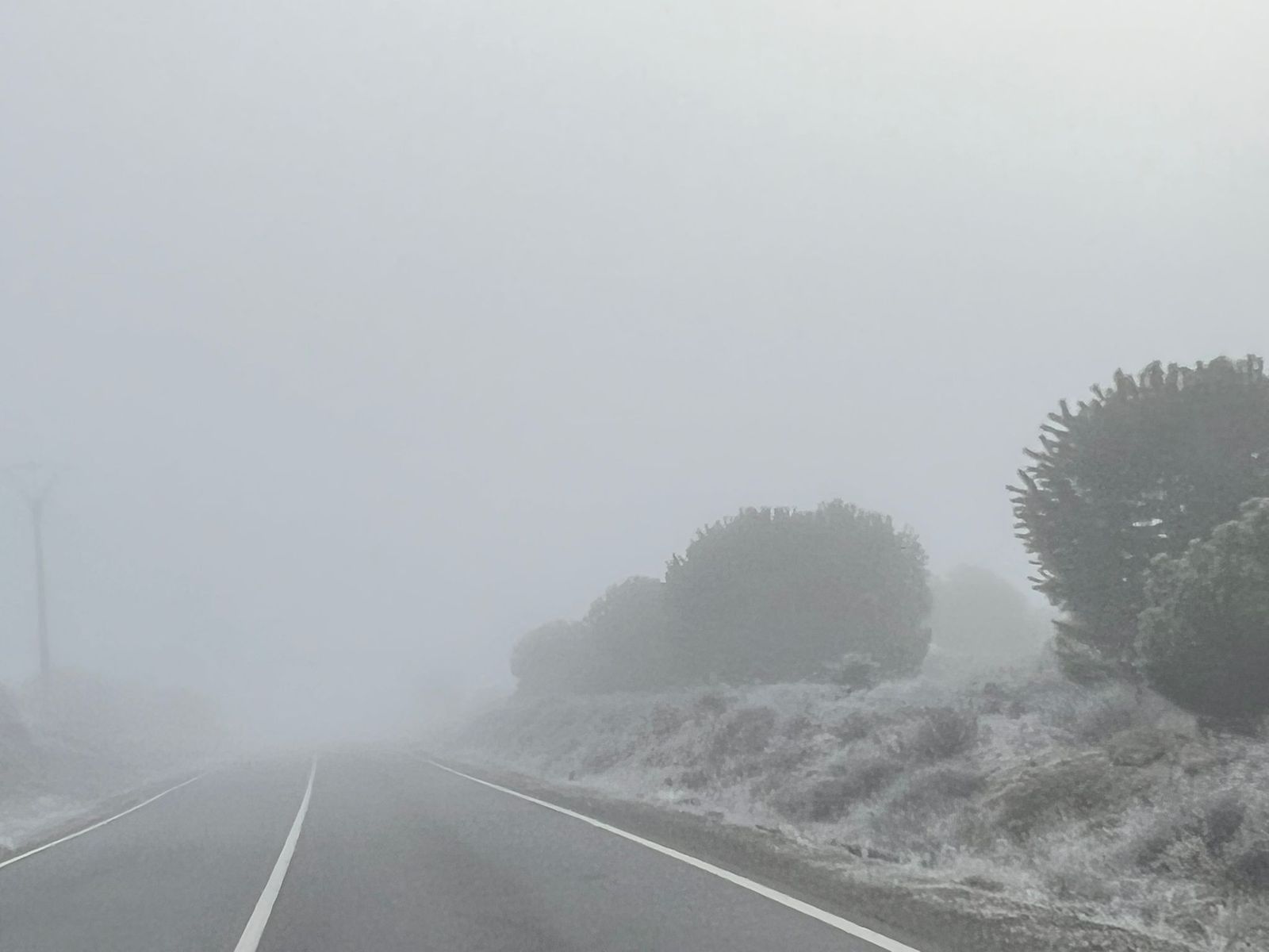 whatsapp-image-2025-02-06-at-09-37-48