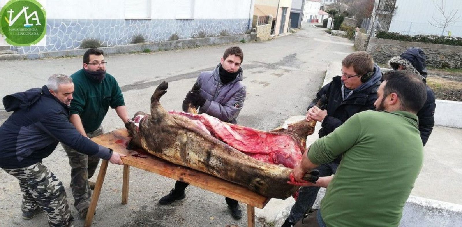 Matanza navarredonda (1)