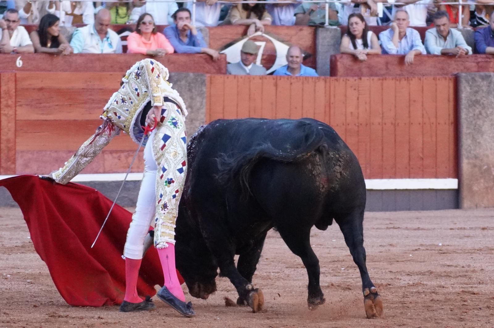 Emilio de Justo, Juan Ortega y Roca Rey inauguran el cartel de figuras en la feria de Salamanca: la corrida de Garcigrande en imágenes