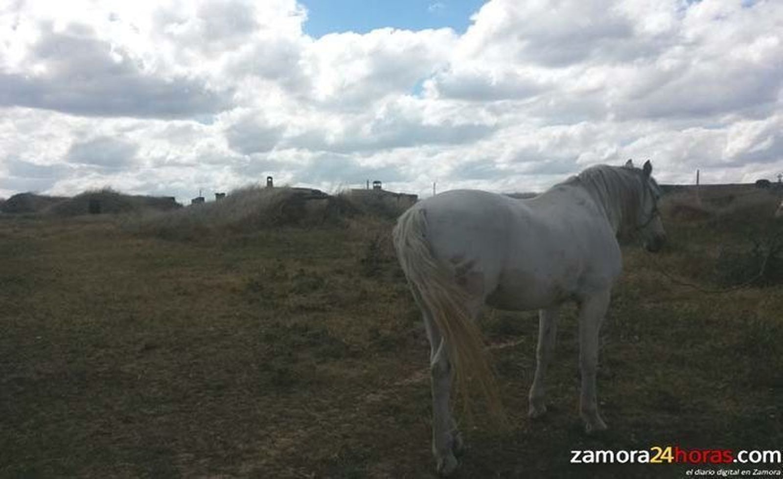Suben las temperaturas máximas en la capital zamorana y habrá algunos chubascos débiles en Sanabria