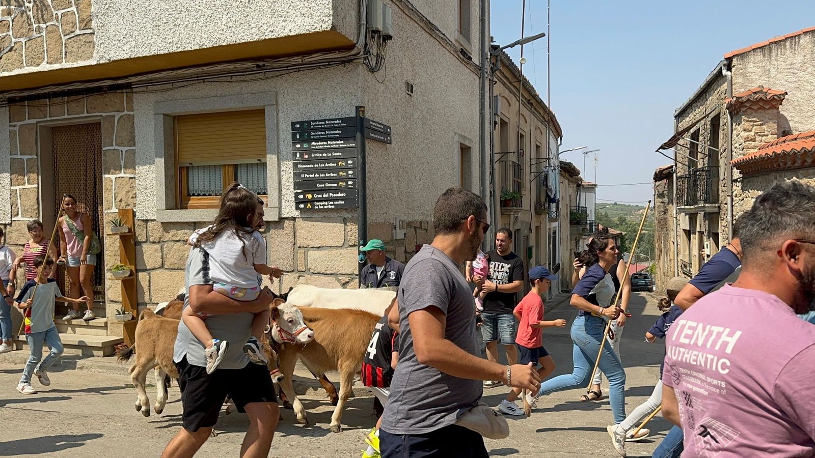 Mini bueyes en Aldeadávila