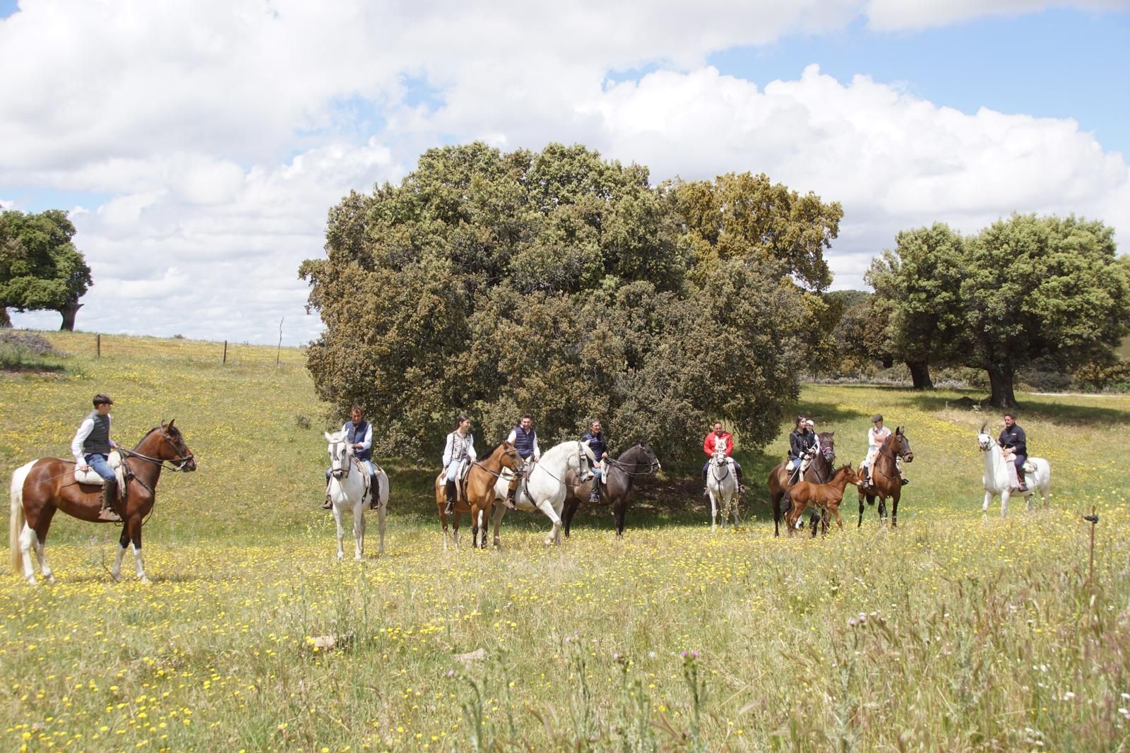 whatsapp-image-2024-05-19-at-14-19-50-2