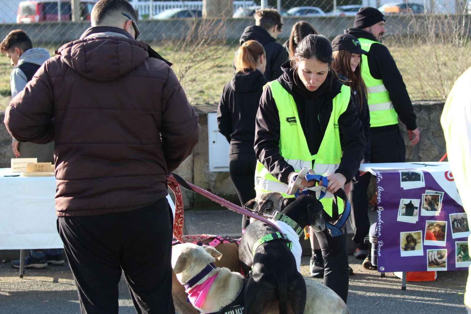 XII Canicross de Santa Marta. Fotos: Míkel Antúnez