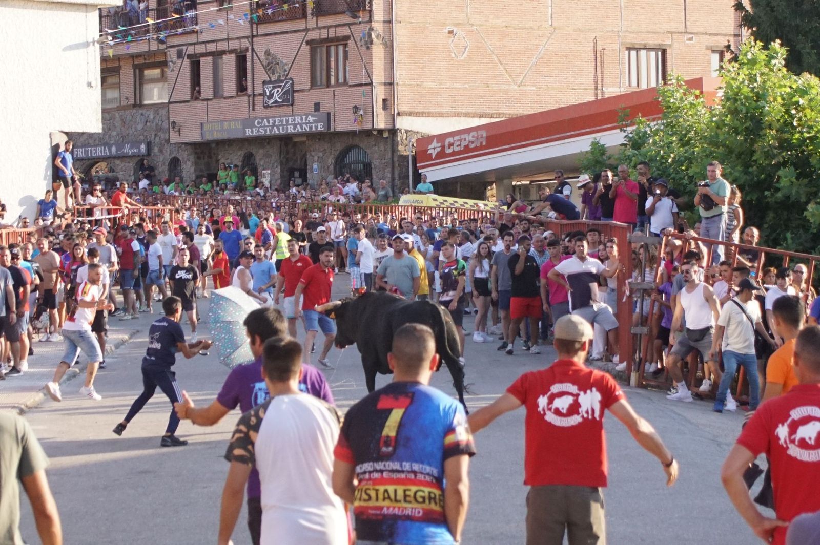 whatsapp-image-2024-08-04-at-21-09-08-1