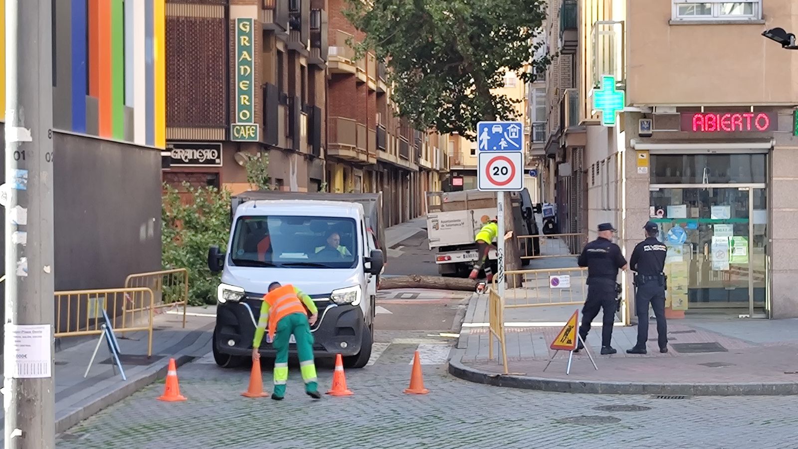asi-ha-quedado-la-plaza-del-oeste-tras-la-deforestacion-de-arboles-3