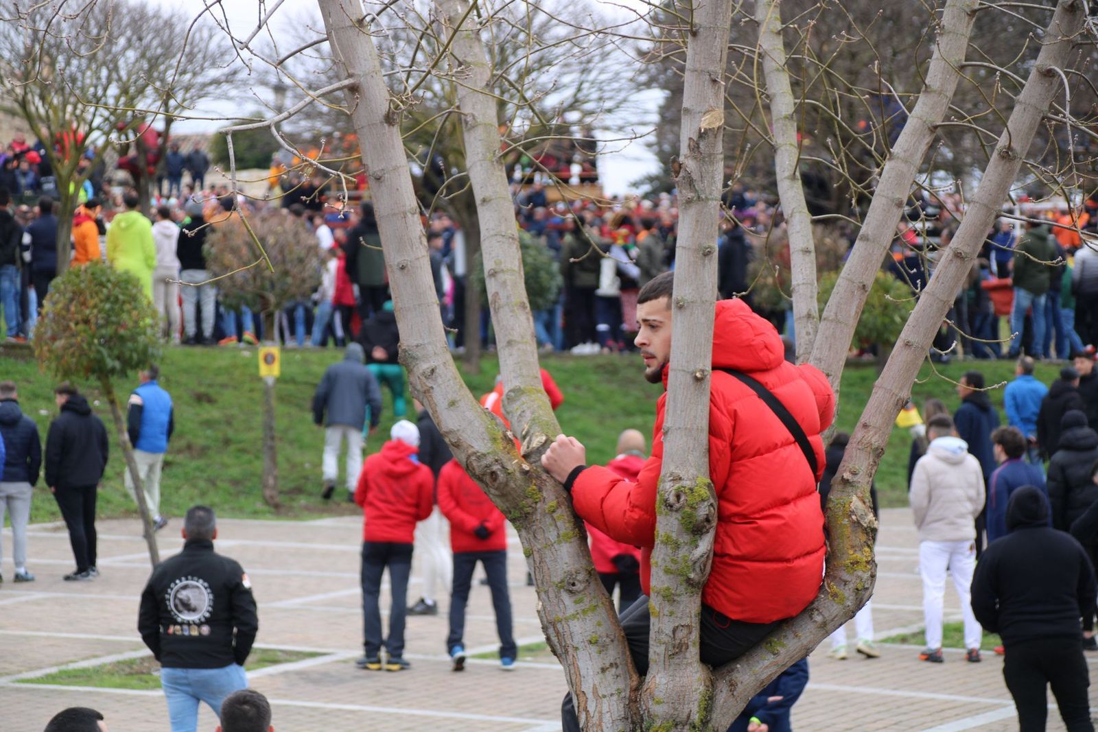 whatsapp-image-2025-03-01-at-11-53-51-1