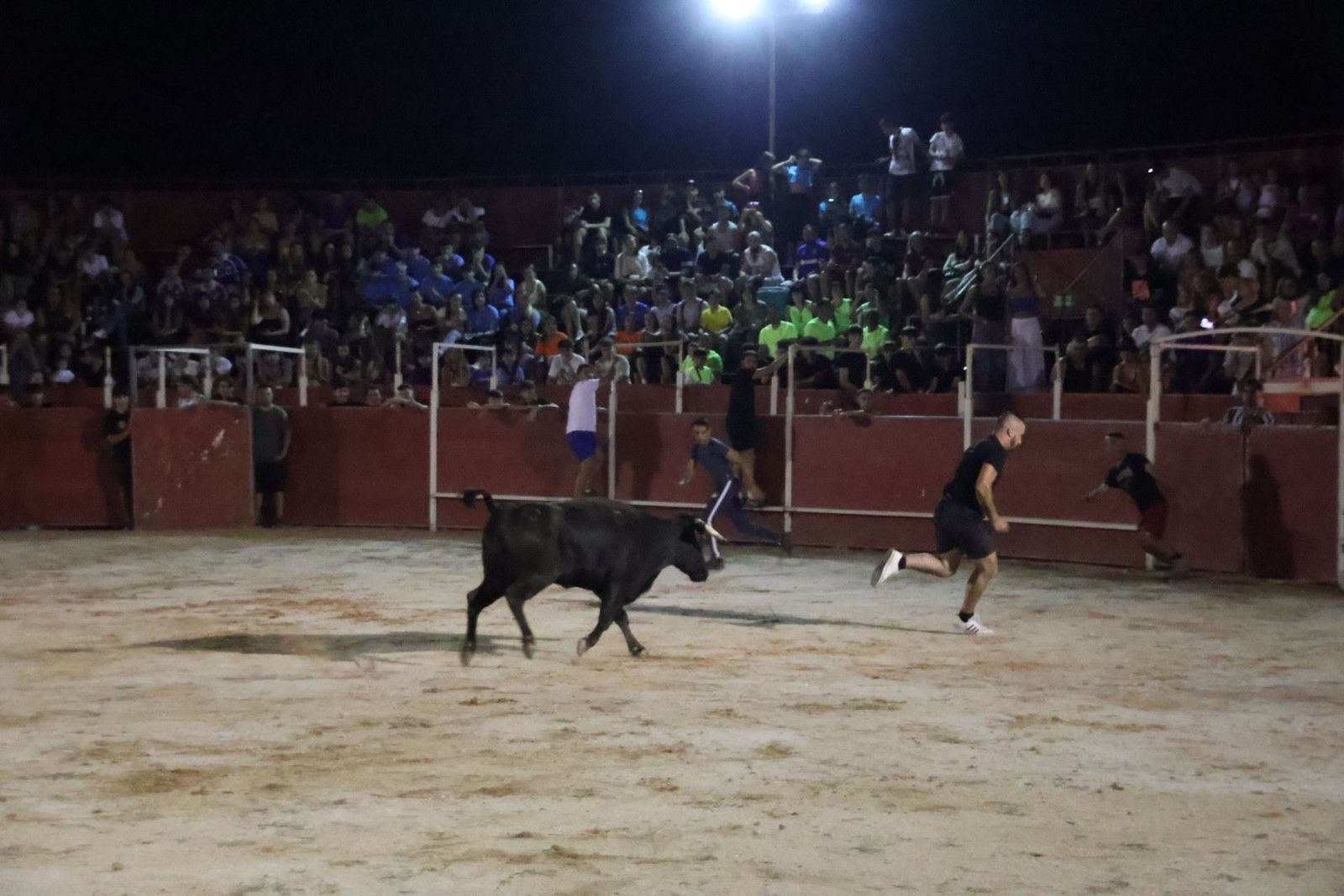 20230812214210-img-1296