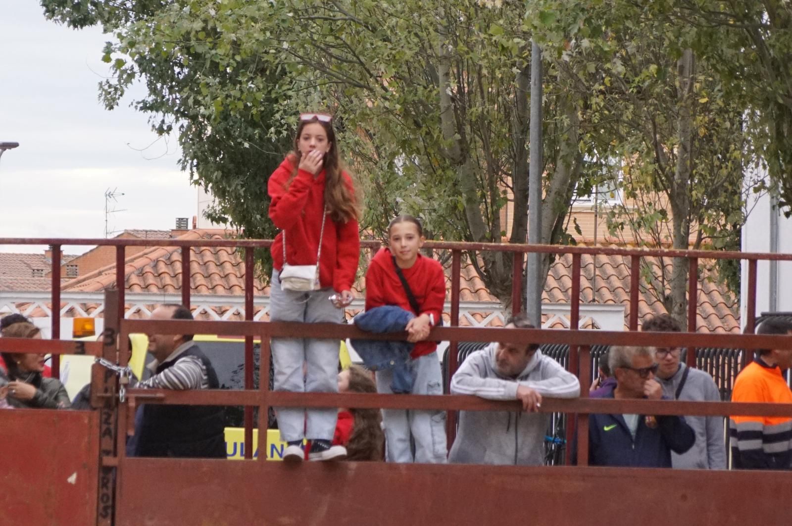 Alba de Tormes celebra un encierro, capea y encierro de minibueyes