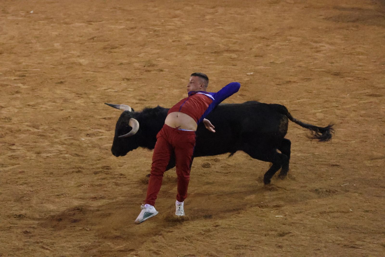 Capea y desencierro de domingo tarde en el Carnaval del Toro 2026