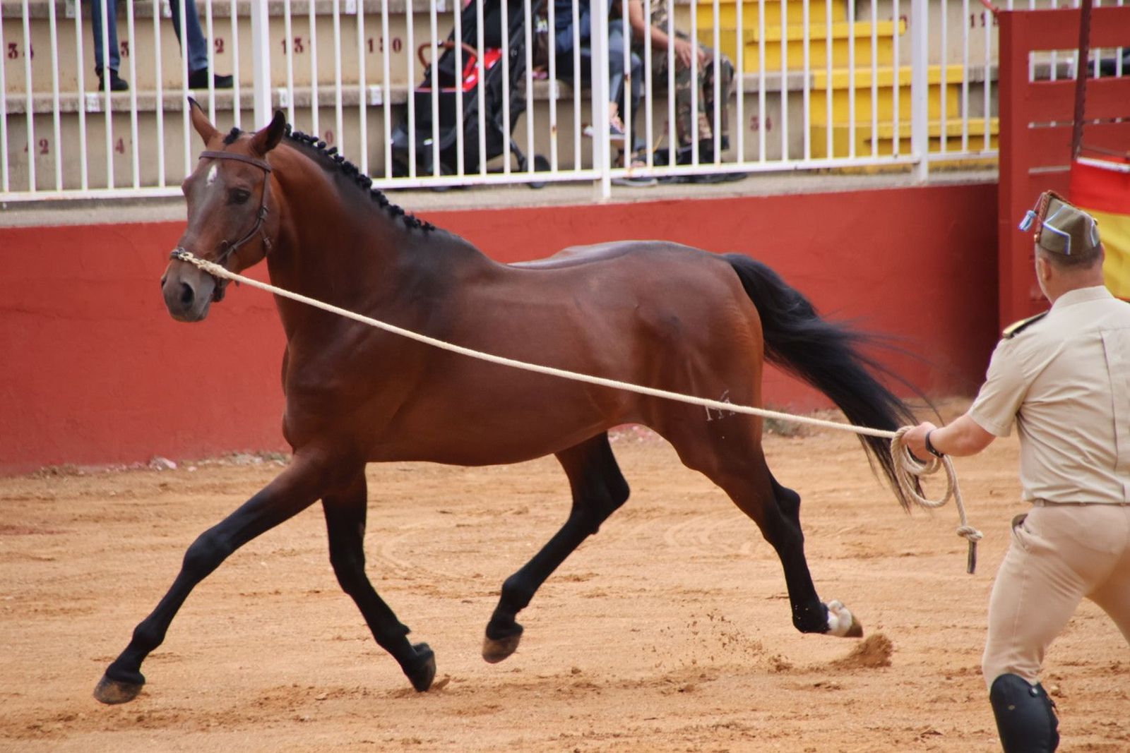 20230902111824-img-7079