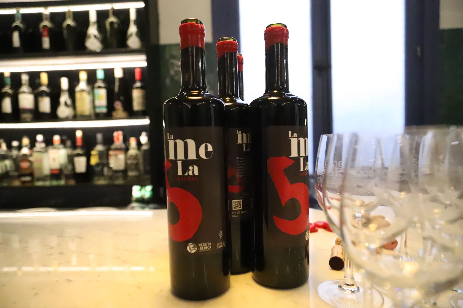 presentacion-de-los-vinos-de-la-sierra-de-la-culebra-3