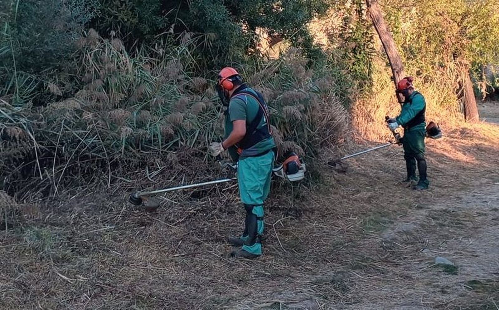 Imagen del desbrozamiento | Foto: Ayto Salamanca