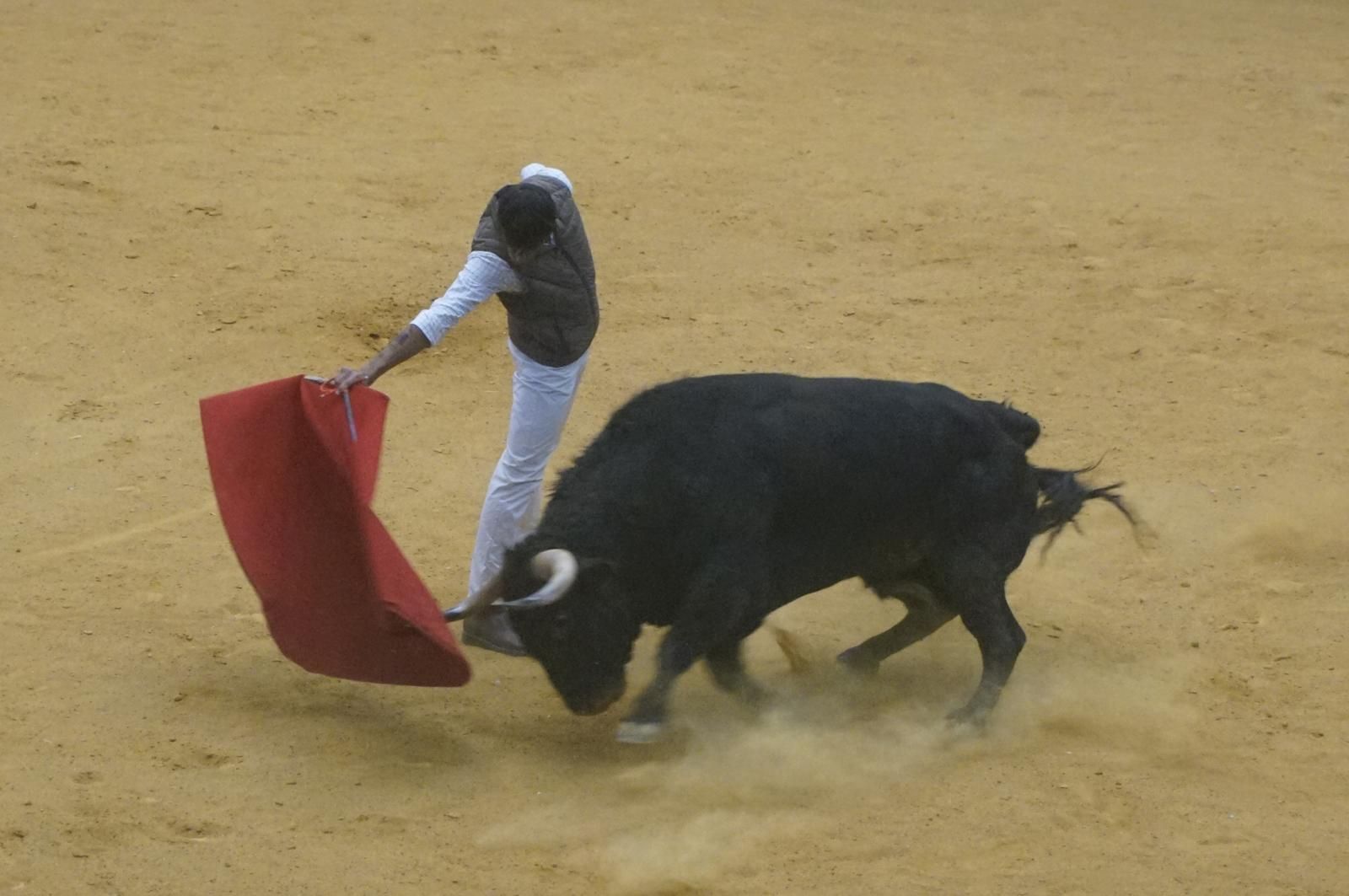 Toro del cajón y capea en Alba de Tormes