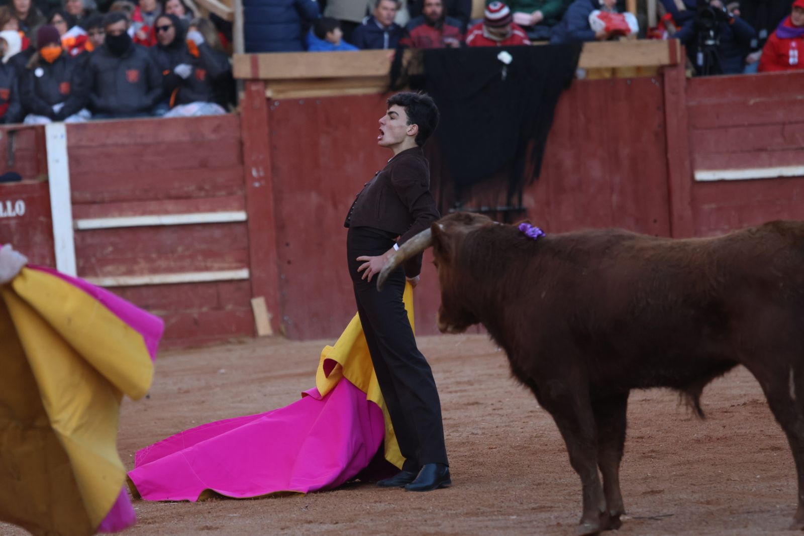 Festival taurino del Sábado en el Carnaval del Toro 2026 de Ciudad Rodrigo
